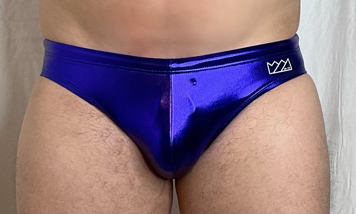 METALLIC SWIM BRIEF