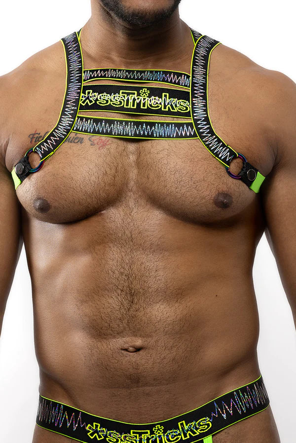 ELECTRO HOLOGRAPHIC HARNESS