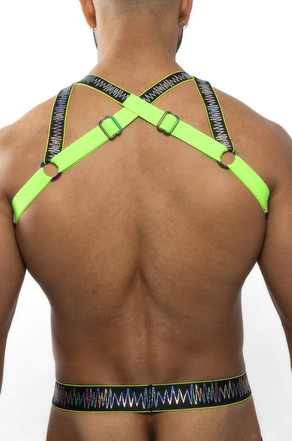 ELECTRO HOLOGRAPHIC HARNESS