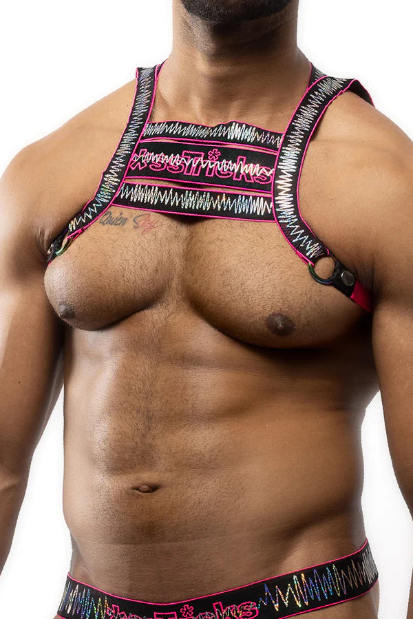 ELECTRO HOLOGRAPHIC HARNESS