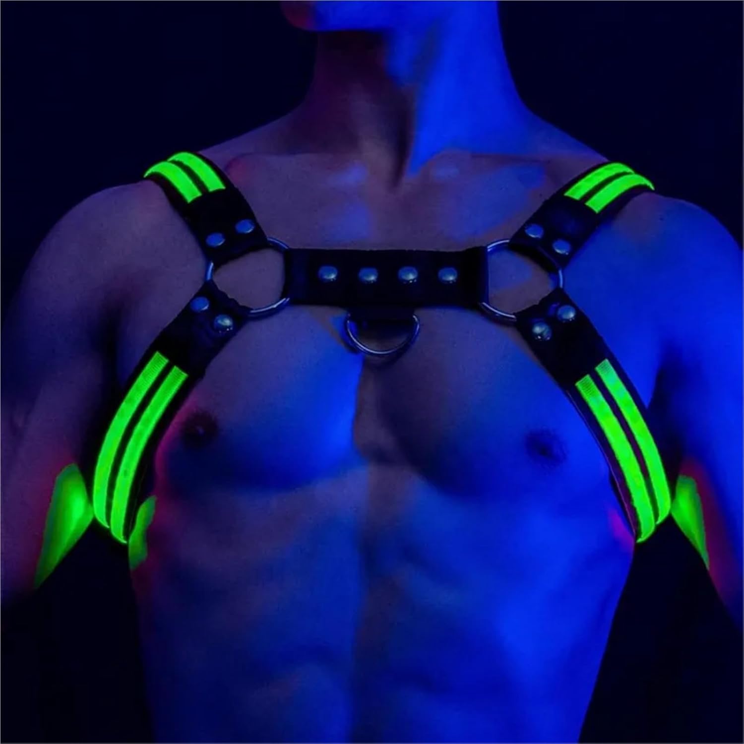 LIGHT-UP GLOW HARNESS