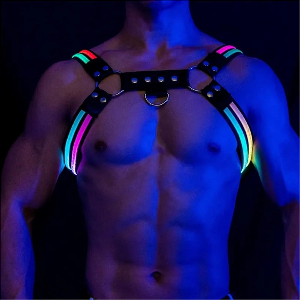 LIGHT-UP GLOW HARNESS