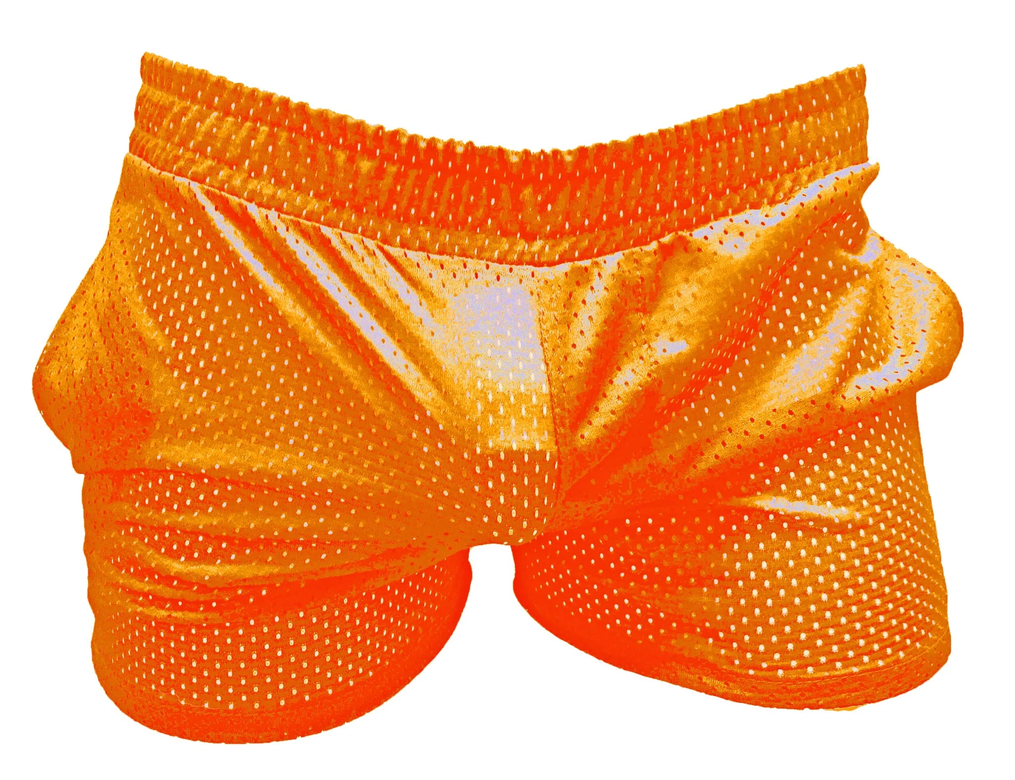 SPORTS MESH SHORT