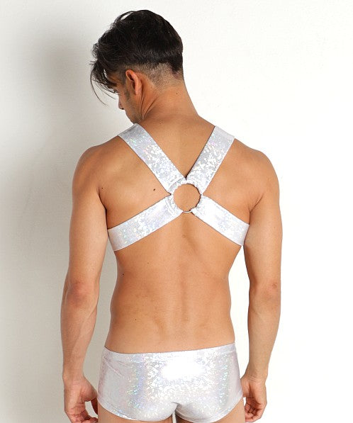HOLOGRAM HARNESS
