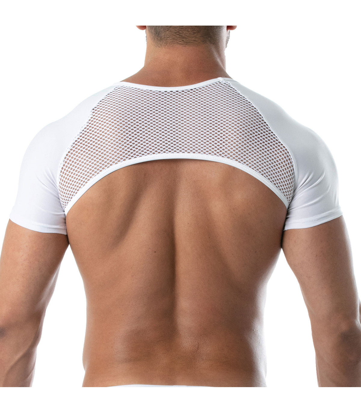 CIRCUIT MESH FULL HARNESS