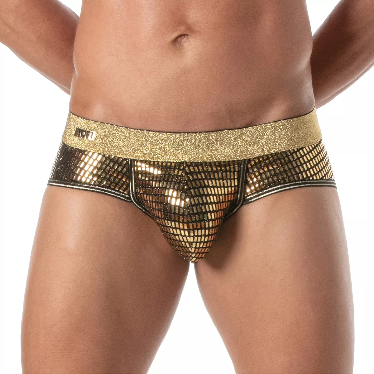 GLITTER BRIEF