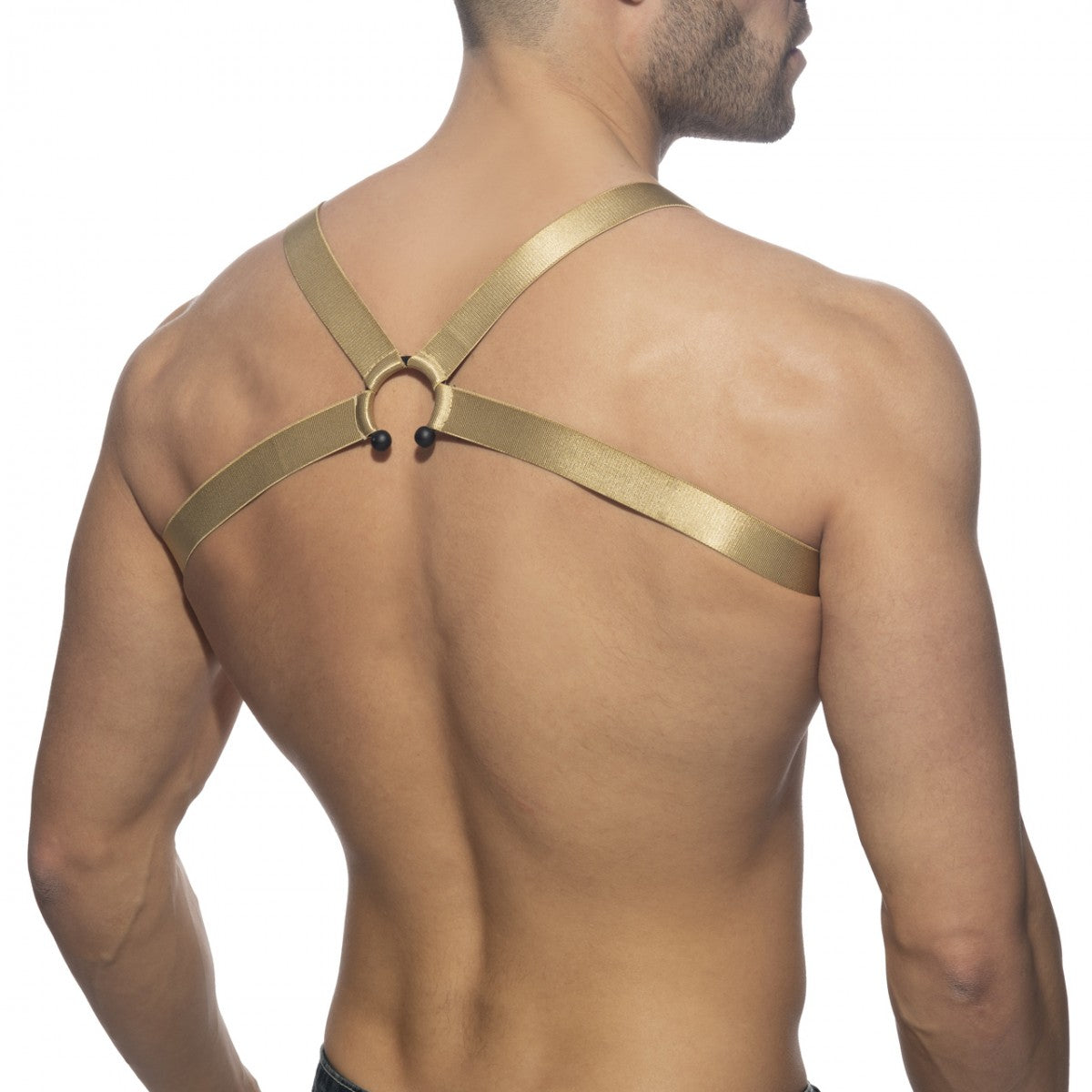 BULL RING HARNESS
