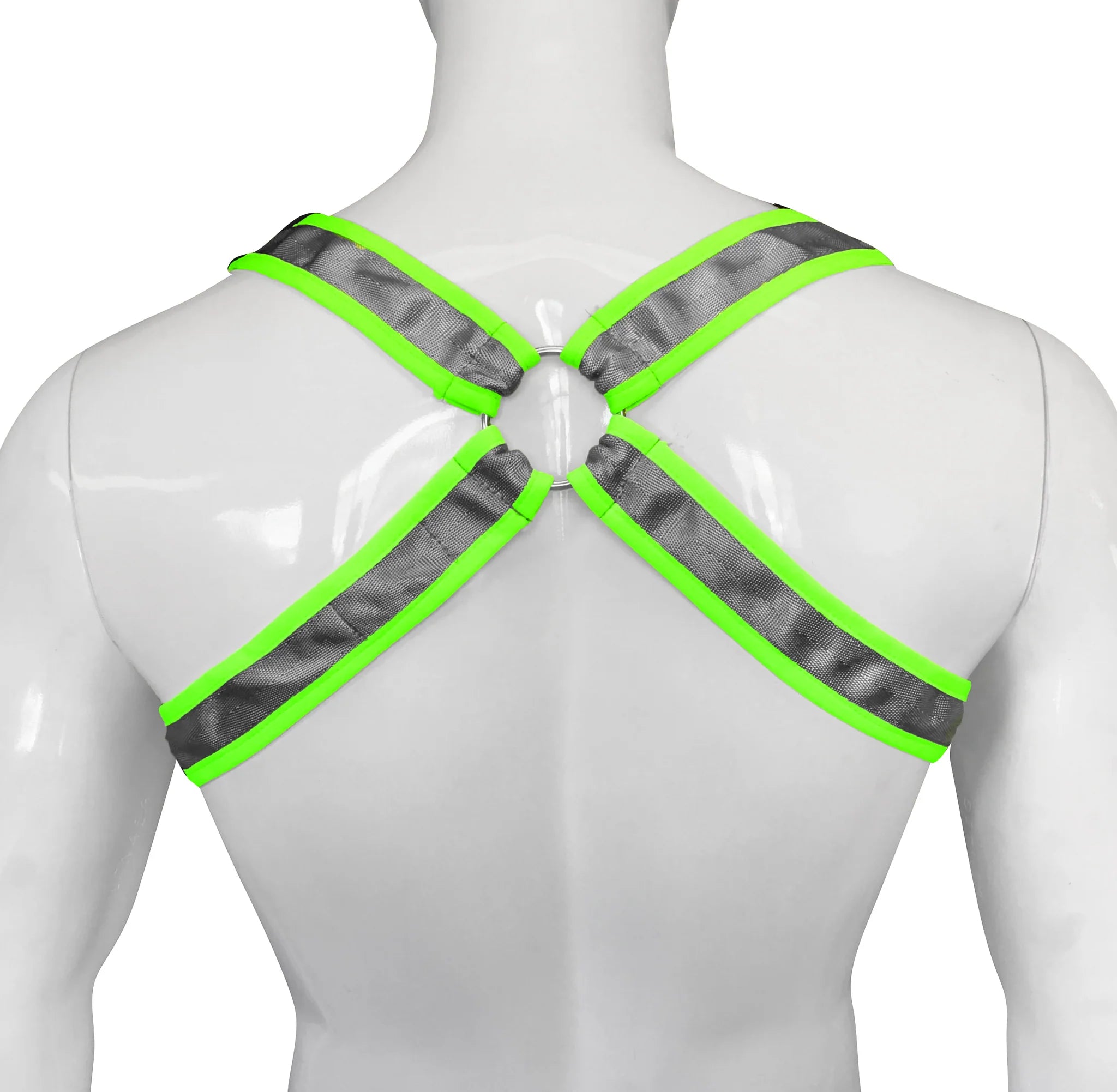 BUCKLE HARNESS