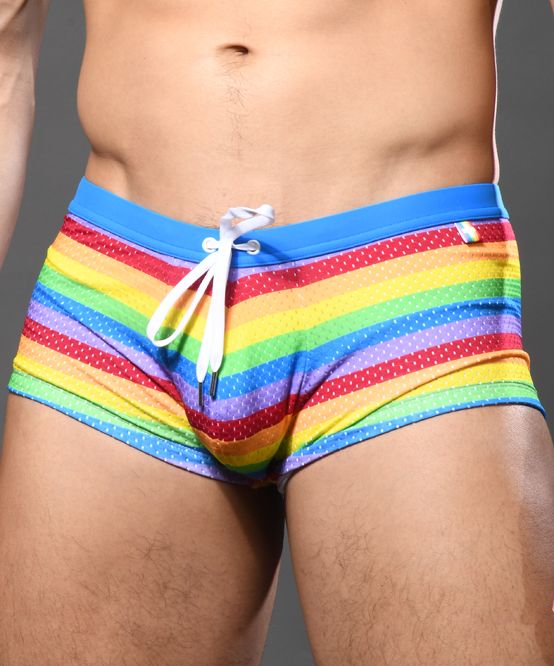 PRIDE MESH SWIM TRUNK