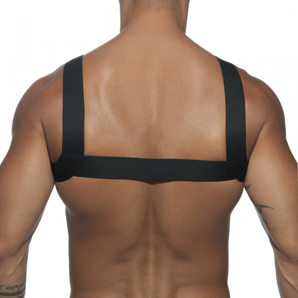 AD BASIC HARNESS