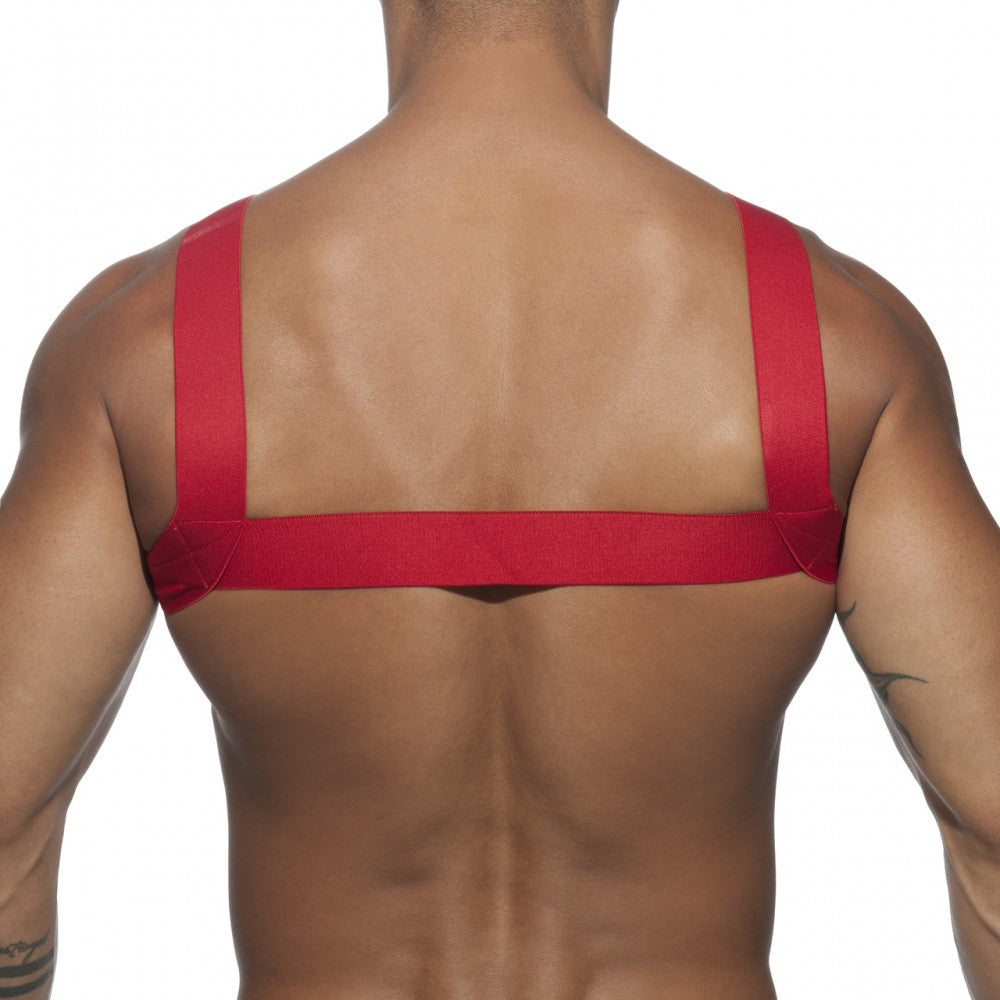 AD BASIC HARNESS